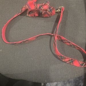 Holiday leash and collar xs s